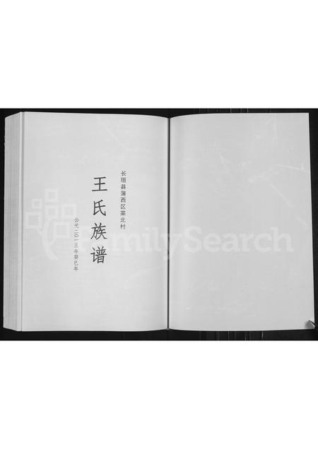 河南王氏族谱-王氏族谱 _ 长垣县蒲西区菜北村.pdf电子版插图1
