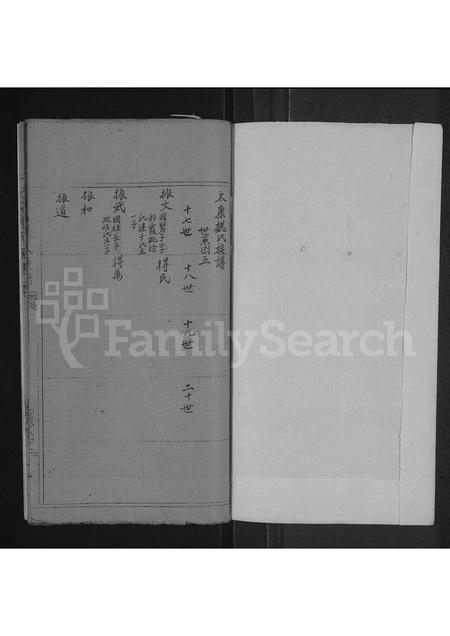 河南魏氏族谱-魏氏族谱 _ 河南省太康县 [存2卷].pdf电子版插图1