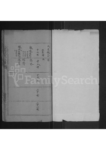 河南魏氏族谱-魏氏族谱 _ 河南省太康县 [存2卷].pdf电子版插图1