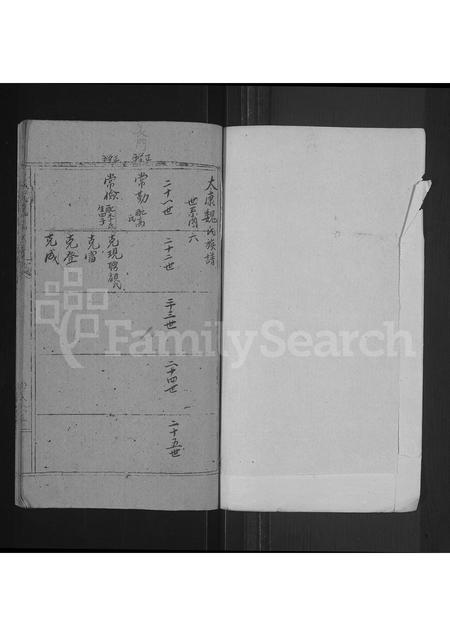 河南魏氏族谱-魏氏族谱 _ 河南省太康县 [存2卷].pdf电子版插图1