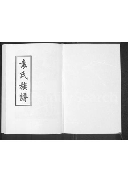 河南袁氏族谱-袁氏族谱.pdf电子版插图1