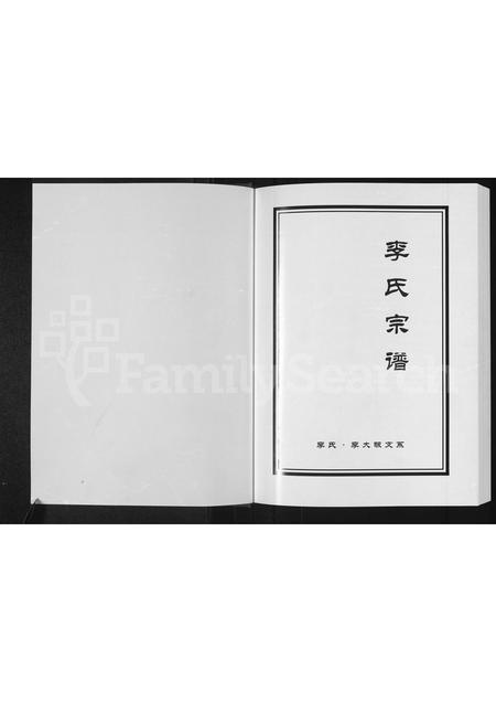 河南李氏族谱-李氏宗谱 _ 李氏,李大畈支系.pdf电子版插图1