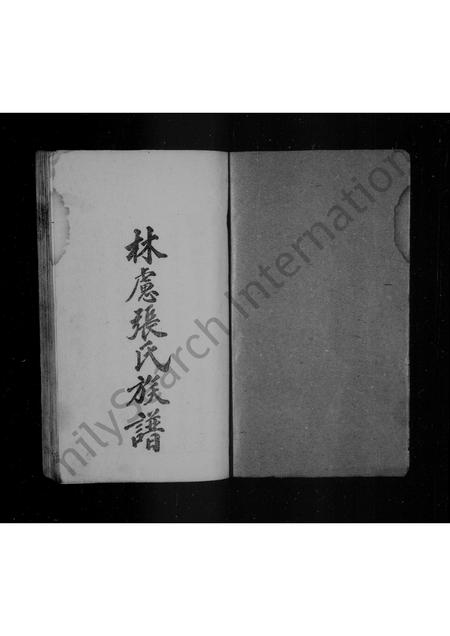 河南张氏族谱-张氏族谱.pdf电子版插图1