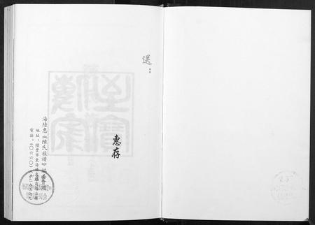 广东陈氏族谱-陈氏族谱[上下卷].pdf电子版插图1