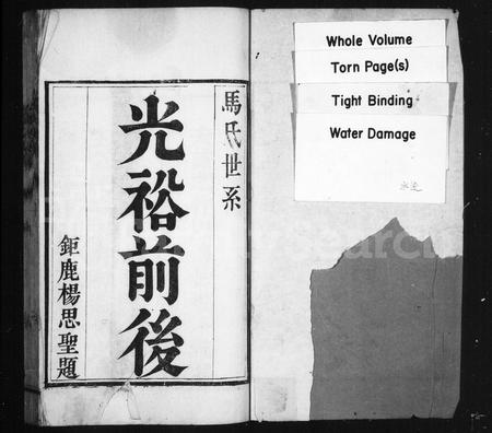 河南马氏族谱-马氏族谱.pdf电子版插图1