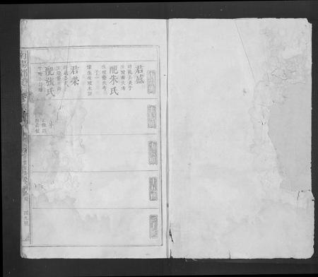 江西、广东邓氏族谱-南阳邓氏五修族谱[总卷数不详].pdf电子版插图1