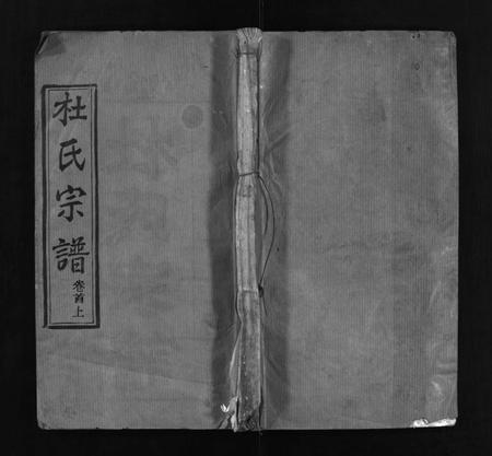 河南杜氏族谱-杜氏宗谱 [18卷,首2卷].pdf电子版插图1