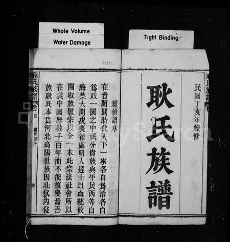 河南耿氏族谱-耿氏族谱 [33卷,首1卷].pdf电子版插图1
