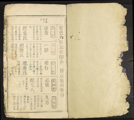江西、广东黄氏族谱-雩阳黄氏陆修族谱 [不分卷].pdf电子版插图1