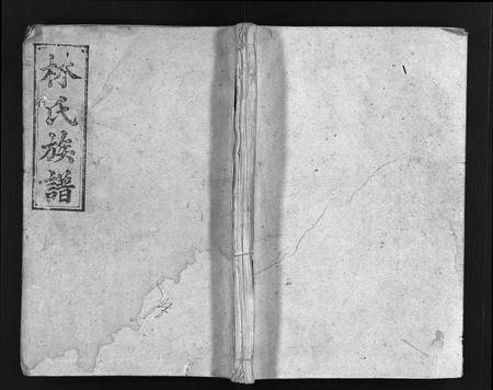 江西、福建林氏族谱-林氏族谱 [18卷,首3卷].pdf电子版插图1