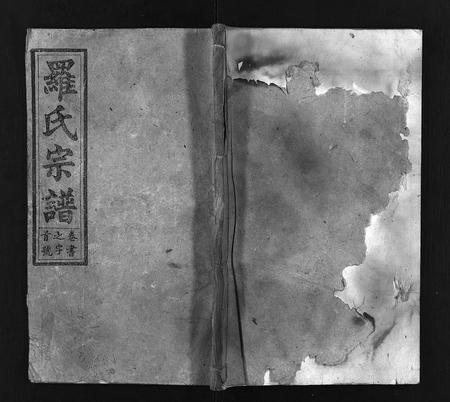 河南罗氏族谱-罗氏宗谱 [20卷,首末各1卷].pdf电子版插图1