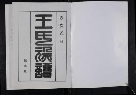 河南王氏族谱-太康马头王氏族谱 [不标卷数].pdf电子版插图1