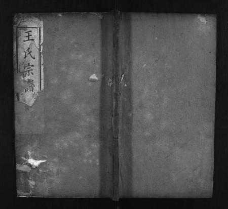 河南王氏族谱-王氏宗谱 [14卷].pdf电子版插图1