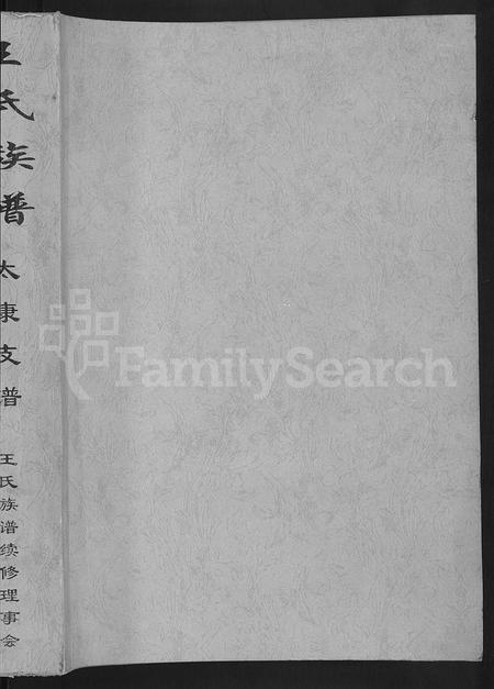 河南王氏族谱-王氏族谱 _ 太康支谱 [不分卷].pdf电子版插图1