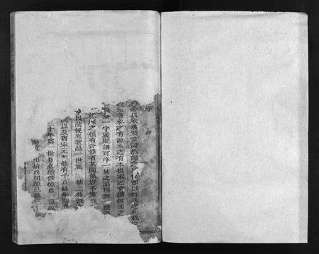 江西、福建杨氏族谱-杨氏宗谱 [卷数不详].pdf电子版插图1