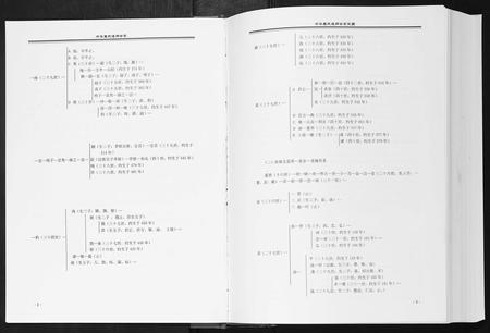 河南袁氏族谱-中华袁氏通用世系[1册].pdf电子版插图1