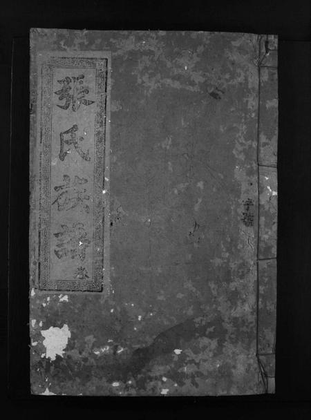 广东张氏族谱-张氏族谱 [不分卷].pdf电子版插图1