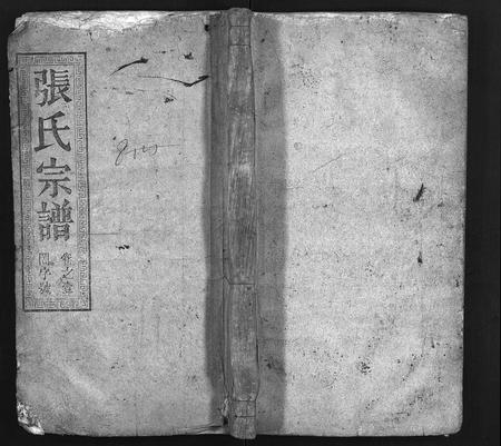 河南张氏族谱-张氏宗谱 [8卷].pdf电子版插图1