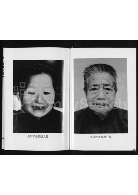 海宁沈氏族谱-沈氏宗谱(别名：沈氏家谱 ： 浙江海宁许村郁家港).pdf电子版插图1