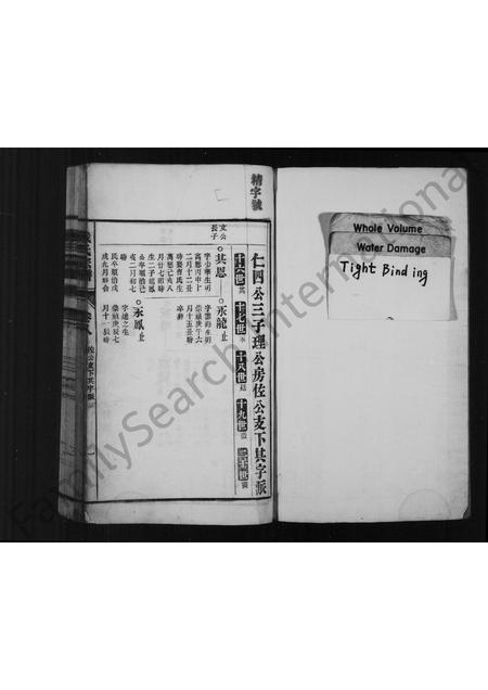 安徽戴氏族谱-戴氏宗谱 [残卷].pdf电子版插图1