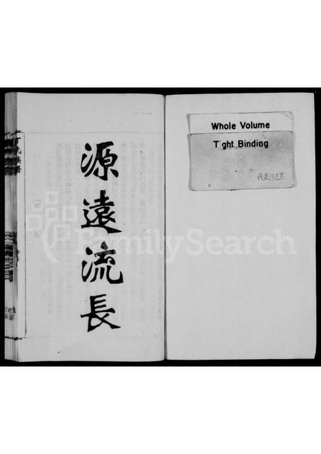 安徽丁氏族谱-丁氏族谱.pdf电子版插图1