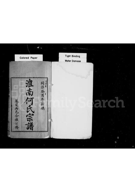 安徽何氏族谱-淮南何氏宗谱 [2卷].pdf电子版插图1