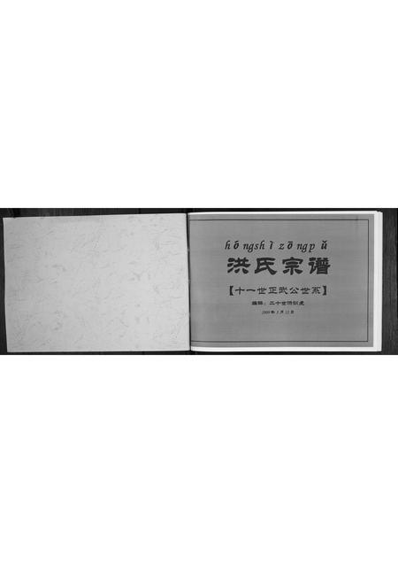 安徽洪氏族谱-洪氏宗谱.pdf电子版插图1