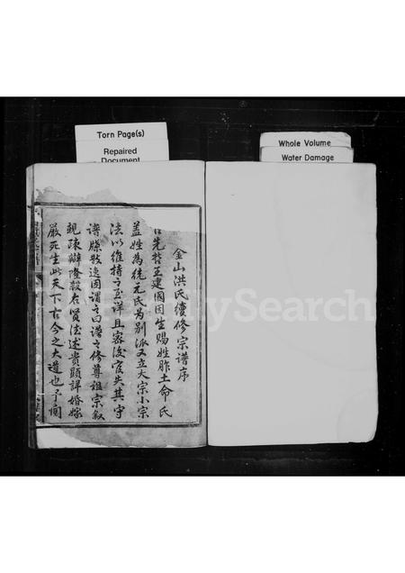 安徽洪氏族谱-金山洪氏宗谱 [4卷].pdf电子版插图1