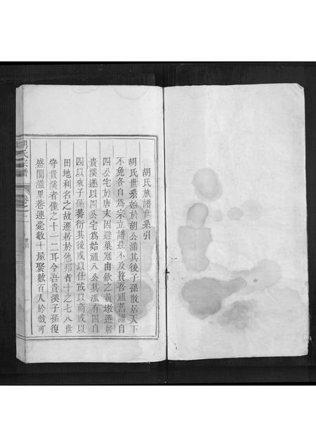 安徽胡氏族谱-胡氏宗谱[2卷].pdf电子版插图1
