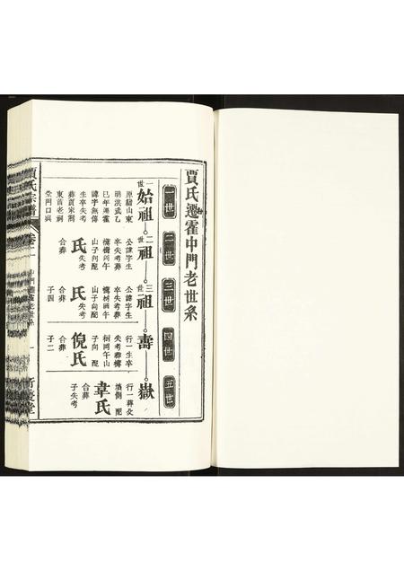 安徽贾氏族谱-贾氏宗谱.pdf电子版插图1