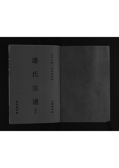 安徽潘氏族谱-潘氏宗谱.pdf电子版插图1