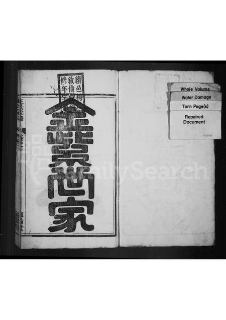 安徽王氏族谱-杨溪王氏宗谱 [4卷].pdf电子版插图1