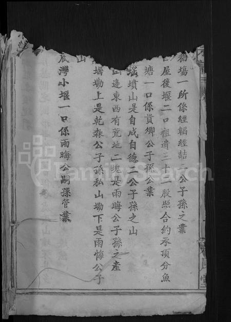 安徽程氏族谱-程氏宗谱[总卷数不详].pdf电子版插图1