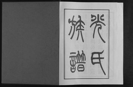 安徽光氏族谱-光氏族谱.pdf电子版插图1