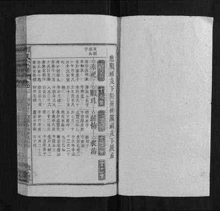 安徽胡氏族谱-胡氏宗谱.pdf电子版插图1