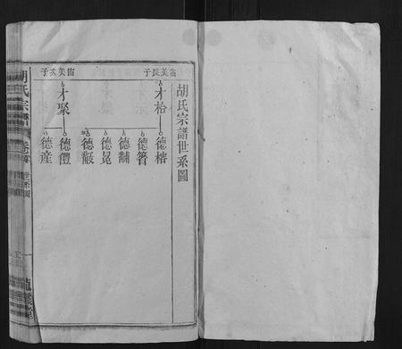 安徽胡氏族谱-胡氏宗谱.pdf电子版插图1