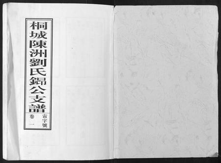 安徽刘氏族谱-陈洲刘氏支谱[11卷].pdf电子版插图1