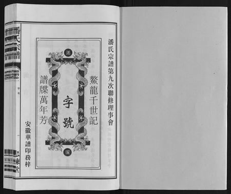 安徽潘氏族谱-潘氏宗谱.pdf电子版插图1