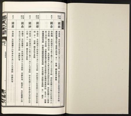 安徽潘氏族谱-潘氏宗谱.pdf电子版插图1