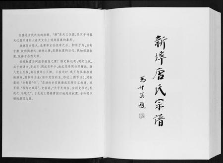 安徽唐氏族谱-唐氏宗谱.pdf电子版插图1