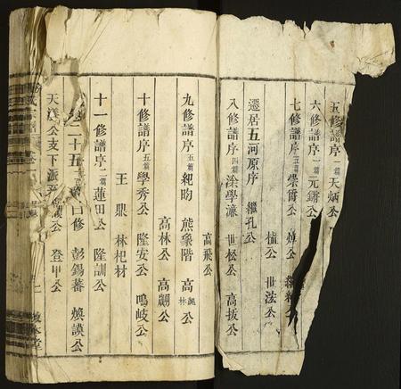 安徽汪氏族谱-汪氏宗谱.pdf电子版插图1