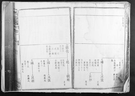 安徽王氏族谱-王氏五修宗谱.pdf电子版插图1