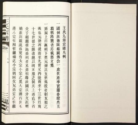 安徽王氏族谱-王氏宗谱.pdf电子版插图1