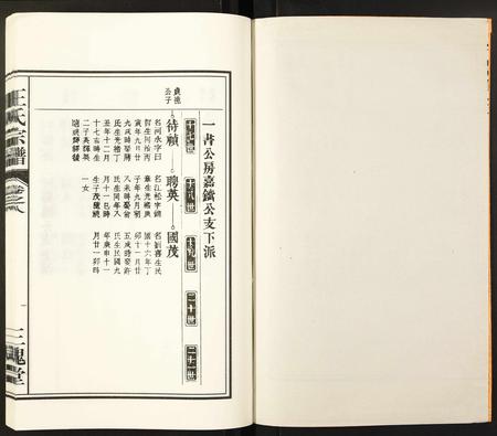 安徽王氏族谱-王氏宗谱.pdf电子版插图1