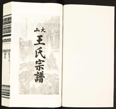 安徽王氏族谱-王氏宗谱.pdf电子版插图1