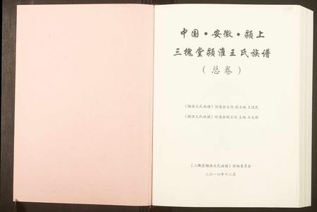 安徽王氏族谱-颖淮王氏族谱.pdf电子版插图1