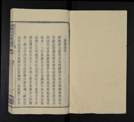 安徽程氏族谱-程氏族谱 [16卷,首2卷,末1卷].pdf电子版插图1