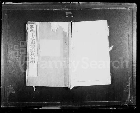 安徽洪氏族谱-王充东源洪氏宗谱 [10卷].pdf电子版插图1