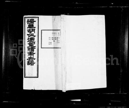 安徽胡氏族谱-清华胡氏仁德堂世谱 [27卷, 首末各1卷].pdf电子版插图1