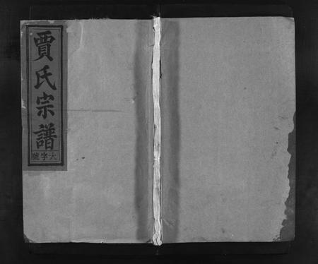 安徽贾氏族谱-贾氏宗谱 [22卷].pdf电子版插图1